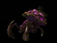 1. Swarm Host Default.jpg