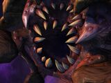 Brood lord