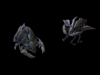 3. Locusts Primal.jpg