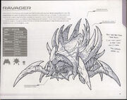 Ravager SC-FM Art1