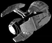 An observer during the 