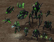 Taldarim Dark Units SC2 Rend