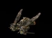 3. Raven Mira's Marauders