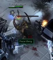 A feral  impedes  and 's 