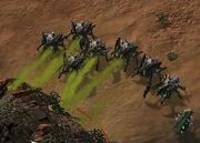 Roach SC2 DevGame2