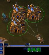 Selected identical buildings may be ordered using common hotkeys. Here, pressing "z" multiple times orders gateways to produce multiple zealots; production is spread evenly across the buildings.