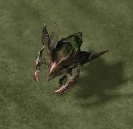 DirgeBeetle Coop Game1