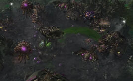HavensFall SC2-WoL Game1