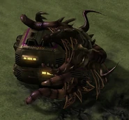 An infested civilian hut.