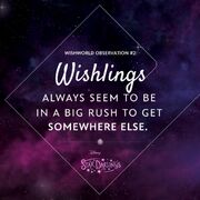 LibbyWishWorldObservation2