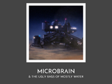 Microbrain and the Ugly Bags of Mostly Water