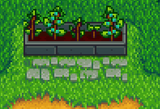 Lance's Monster Crop Garden