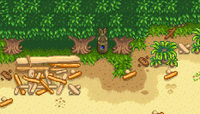 Warp Totem Beach location