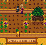 Отважено ворон