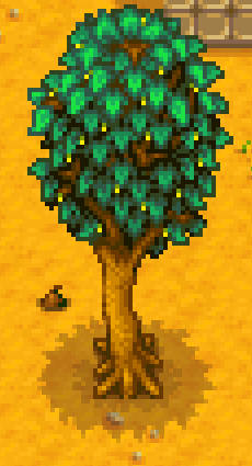 Maple Tree | Stardew Valley Wiki | Fandom