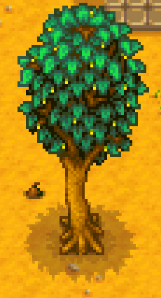 Maple Tree Stardew Valley Wiki Fandom