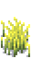 Пшеница 4
