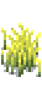 Пшеница 4