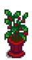 Комнатное растение 7.png