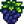 Blackberry
