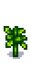 Помидор 7