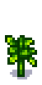 Помидор 7