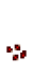 Свёкла 1