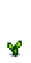 Помидор 2