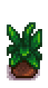 Сезонное растение 9.png