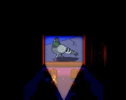 Кадры города Зузу