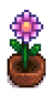 Сезонное растение 13.png