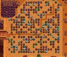 Quarry.jpg