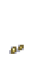 Чеснок 1