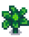 Брокколи 4