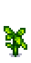 Помидор 4