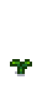 Тюльпан 3