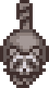 Raccoon