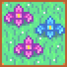 Spring Foraging Bundle