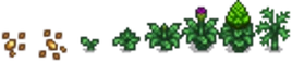 artichoke