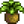 Wild Horseradish
