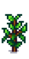 Черника 5