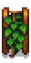 Хмель 5