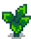 Сквош 4