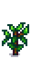Черника 4