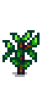 Черника 4