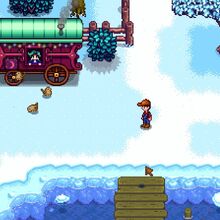 Cindersap Forest Stardew Valley Wiki Fandom
