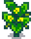 Сквош 7