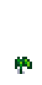 Кукуруза 2