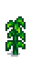 Кукуруза 5