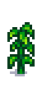 Кукуруза 5